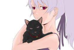 Rule 34 | black cat, cat, darker than black, mao (darker than black), purple eyes, silver hair, tagme, yin (darker than black)