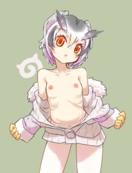 Rule 34 | 10s, 1girl, :&lt;, breasts, female focus, highres, kemono friends, megtamine, navel, nipples, northern white-faced owl (kemono friends), off shoulder, ribs, small breasts, solo