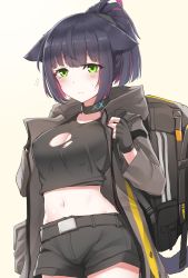 Rule 34 | 1girl, animal ears, arknights, backpack, bag, black gloves, black hair, black jacket, black shirt, black shorts, blouse, breasts, cat ears, choker, cleavage, covered erect nipples, cowboy shot, crop top, floppy ears, gloves, green eyes, highres, infection monitor (arknights), jacket, jessica (arknights), jessica (ash) (arknights), k0ng, long hair, medium breasts, midriff, multicolored hair, navel, official alternate costume, open clothes, open jacket, ponytail, shirt, short shorts, shorts, solo, torn clothes, torn shirt, two-tone hair
