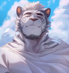 Rule 34 | 1boy, animal ears, bara, beard, blue sky, cloud, cloudy sky, commentary, english commentary, estper, full beard, furry, furry male, highres, looking ahead, male focus, muscular, muscular male, original, shirt, sky, thick eyebrows, tiger boy, tiger ears, tiger stripes, white hair, white shirt, wind