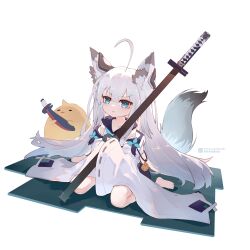 Rule 34 | 1girl, 1other, absurdres, aged down, ahoge, animal ears, azur lane, barefoot, black gloves, blue eyes, chinese commentary, collarbone, commentary request, detached sleeves, dress, fox ears, fox girl, fox tail, gloves, hair between eyes, highres, holding, holding sword, holding weapon, kawakaze (azur lane), liwendala, long hair, manjuu (azur lane), parted lips, pixiv id, simple background, sitting, sleeveless, sleeveless dress, solo focus, sword, tail, toes, wariza, weapon, white background, white dress, white hair, white sleeves, wide sleeves