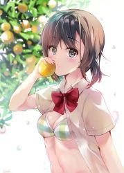 Rule 34 | 1girl, bad id, bad pixiv id, bikini, bikini under clothes, blurry, blurry background, bow, brown eyes, brown hair, collared shirt, commentary request, depth of field, dress shirt, food, fruit, holding, holding food, holding fruit, long hair, looking at viewer, open clothes, open shirt, orange (fruit), original, plaid, plaid bikini, red bow, school uniform, shirt, short sleeves, solo, suihi, swimsuit, white background, white shirt