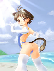 Rule 34 | 00s, 1girl, agaa (masatu), animal ears, antenna hair, ass, beach, blush, brown eyes, brown hair, cat ears, cat girl, cat tail, competition swimsuit, day, elbow gloves, female focus, gloves, highres, idolmaster, idolmaster (classic), kikuchi makoto, looking back, nature, ocean, one-piece swimsuit, one-piece thong, outdoors, panties, short hair, sky, solo, swimsuit, tail, thighhighs, thong, underwear, white thighhighs