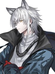 Rule 34 | 1boy, animal ear fluff, animal ears, aosta (arknights), arknights, blue jacket, frown, gloves, highres, jacket, looking at viewer, male focus, open clothes, open jacket, red gloves, shirt, short hair, simple background, solo, upper body, white background, white hair, white shirt, wolf boy, wolf ears, yellow eyes, zerg (z79438659)