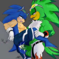 Rule 34 | 2boys, after kiss, anal, armpits, artist request, bird boy, blue eyes, blue hair, blush, cum, cum in ass, feet, furry, gloves, goggles, goggles on head, green eyes, green hair, highres, jet the hawk, male focus, male penetrated, multiple boys, muscular, muscular male, nipples, pectorals, penis, saliva, saliva trail, shorts, sonic (series), sonic the hedgehog, sunglasses on head, testicles, topless male, torn clothes, yaoi