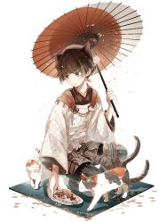 Rule 34 | 1boy, androgynous, animal ears, bonito rice (food fantasy), calico, cat, cat boy, cat ears, chinese clothes, cocosuke, food, food fantasy, full body, highres, looking down, official art, pale skin, second-party source, traditional clothes, transparent background, umbrella