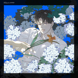 Rule 34 | 2boys, black hair, blue background, blue eyes, commentary request, daffodil, disembodied hand, floral background, flower, highres, holding, holding flower, implied yaoi, korean commentary, lewin00000, lily (flower), male focus, multiple boys, original, out of frame, petals, shirt, short hair, solo focus, tulip, white flower, white shirt