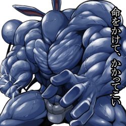 Rule 34 | :3, azumarill, clenched hand, creatures (company), fukurou (owl222), game freak, gen 2 pokemon, huge power (pokemon), muscular, nintendo, no humans, parody, pectorals, pokemon, pokemon (creature), rabbit ears, simple background, solo, tail, translation request, veins, white background, you gonna get raped
