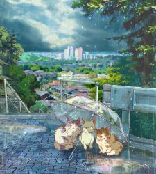 Rule 34 | brick floor, brown fur, building, cat, city, cityscape, cloud, commentary request, day, guard rail, highres, no humans, original, outdoors, overcast, puddle, purple fur, railing, rain, reflection, reflective water, ryowelcome1, scenery, sky, transparent, transparent umbrella, tree, two-tone fur, umbrella, water, water drop, white cat, white fur