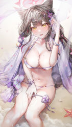 Rule 34 | 1girl, absurdres, akqne, animal ears, bare legs, bikini, blue archive, blush, breasts, brown hair, covered erect nipples, fangs, flower, hair flower, hair ornament, halo, hand in own hair, highres, large breasts, looking at viewer, multicolored hair, nail polish, open mouth, pink nails, sitting, smile, solo, starfish, stomach, streaked hair, swimsuit, tassel, thigh strap, wakamo (blue archive), wakamo (swimsuit) (blue archive), wet, yellow eyes