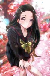 1girl absurdres bad_id bad_pixiv_id black_hair black_sailor_collar black_serafuku black_shirt black_skirt blurry blurry_background bow bowtie brown_hair collarbone collared_shirt dutch_angle hair_ribbon hands_on_own_knees highres kamado_nezuko kimetsu_gakuen kimetsu_no_yaiba leaning_forward long_hair miniskirt multicolored_hair neckerchief open_mouth pink_eyes pink_ribbon pleated_skirt ribbon sailor_collar sailor_shirt school_uniform serafuku shirt skirt solo standing two-tone_hair verse very_long_hair yellow_bow yellow_bowtie