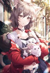 Rule 34 | 1girl, absurdres, animal, animal ears, belt, black choker, breasts, brown eyes, brown hair, carrying, cat, cat ears, cat girl, cat tail, choker, chyopeuteu, crop top, day, fur trim, groin, hair ornament, highres, jacket, long hair, long sleeves, looking at viewer, medium breasts, midriff, off shoulder, open clothes, open jacket, original, outdoors, parted lips, red jacket, shirt, solo, sunlight, tail, upper body, white shirt
