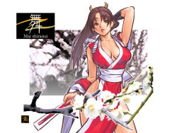 Rule 34 | 1girl, ass, back, breasts, brown eyes, brown hair, folded fan, covered erect nipples, hand fan, fatal fury, flower, folding fan, japanese clothes, long hair, looking back, panties, pelvic curtain, ponytail, shiranui mai, sideboob, snk, solo, the king of fighters, underwear