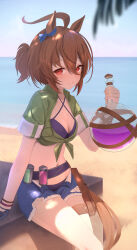 Rule 34 | 1girl, agnes tachyon (lunatic lab) (umamusume), agnes tachyon (umamusume), ahoge, animal ears, beach, belt, bikini, black bikini, blue shorts, blurry, blush, breasts, brown hair, cleavage, collarbone, commentary, criss-cross halter, cutoffs, feet out of frame, flask, gloves, green jacket, groin, hair over one eye, halterneck, hand up, highres, holding, holding flask, horizon, horse ears, horse girl, horse tail, jacket, katuko deluxe, looking at viewer, navel, ocean, official alternate costume, official alternate hairstyle, open mouth, outdoors, pouch, red eyes, round-bottom flask, short ponytail, short sleeves, shorts, single glove, sitting, small breasts, smile, solo, stomach, swimsuit, tail, thigh strap, umamusume, wristband