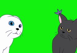 Rule 34 | animal ears, animated, blacktailmon, cat, cat ears, digimon, digimon (creature), gloves, holy ring, looking at another, meme, sound, tail, tailmon, talking cats (meme), video