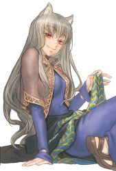 Rule 34 | 1girl, animal ears, blue dress, brown capelet, capelet, dress, from side, grey hair, head tilt, highres, holo, long hair, red eyes, sitting, sleeves past wrists, smile, smug, solo, spice and wolf, white background, wolf ears, wolf girl, yonemura kouichirou