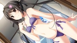 Rule 34 | 1girl, 3:, bikini, black hair, blush, breasts, brown eyes, dutch angle, front-tie bikini top, front-tie top, game cg, hair intakes, hair ornament, hair ribbon, hairclip, indoors, kiss bell, long hair, miyamae eri, navel, purple bikini, ribbon, side-tie bikini bottom, small breasts, solo, sweatdrop, swimsuit, takei ooki, twintails, underboob, wavy mouth