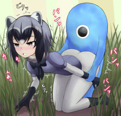 Rule 34 | 10s, 1girl, :o, all fours, animal ears, arm held back, ass, bestiality, black bow, black bowtie, black gloves, black hair, black pantyhose, blush, bow, bowtie, cellien (kemono friends), clothed sex, common raccoon (kemono friends), doggystyle, fur collar, gloves, grass, grey hair, half-closed eyes, implied sex, interspecies, kemono friends, multicolored hair, no pants, outdoors, pantyhose, raccoon ears, sex, sex from behind, short sleeves, through clothes, trembling, white pantyhose, yukyou (pixiv27083031)