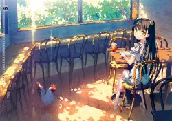 Rule 34 | 1girl, absurdres, bird, black hair, blush, book, chair, chicken, cup, desk, dress, drinking glass, drinking straw, flower, glass, hair flower, hair ornament, highres, kantoku, long hair, looking at viewer, looking back, nagisa (kantoku), no socks, open book, open mouth, original, plaid, plaid dress, rooster, sandals, sitting, smile, solo, tree, tree shade, twintails, two side up, window, yellow eyes