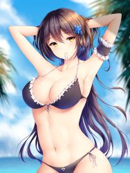 Rule 34 | 1girl, absurdres, adjusting hair, armband, arms behind head, bikini, black bikini, black hair, blue flower, blue sky, blurry, breasts, cloud, cowboy shot, day, depth of field, flower, frilled armband, frilled bikini, frills, hair between eyes, hair flower, hair ornament, highres, large breasts, long hair, looking at viewer, mouth hold, navel, original, outdoors, palm tree, side-tie bikini bottom, sky, solo, swimsuit, tree, wsman, yellow eyes