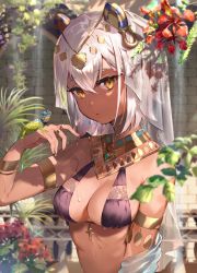 Rule 34 | 1girl, animal ears, ankh, arm up, armlet, bare shoulders, bikini, black bikini, blurry, bracelet, breasts, cleavage, collar, dark-skinned female, dark skin, depth of field, egyptian clothes, fake animal ears, flower, hair between eyes, headdress, highres, jewelry, lizard, looking at viewer, medium breasts, omelet tomato, original, parted lips, plant, red flower, revealing clothes, ring, short hair, solo, swimsuit, upper body, veil, wet, white hair, yellow eyes