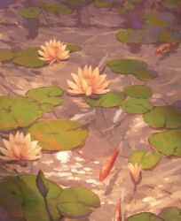 Rule 34 | animal, capoeira66, commentary, dated, english commentary, fish, flower, highres, koi, lily pad, lotus, no humans, original, signature, sparkle, water