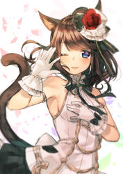 Rule 34 | 10s, 1girl, animal ears, armpits, bare shoulders, blue eyes, blush, breasts, brown hair, cat ears, cat tail, commentary request, final fantasy, final fantasy xiv, flower, gloves, hair flower, hair ornament, hand up, medium breasts, midorikawa you, miqo&#039;te, one eye closed, petals, red flower, red rose, rose, rose petals, sideboob, smile, solo, tail, upper body, warrior of light (ff14), white gloves, yellow flower, yellow rose