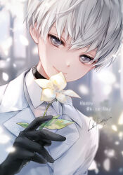 Rule 34 | 1boy, 9s (nier:automata), bishounen, black choker, black gloves, choker, commentary request, flower, gloves, grey eyes, grey hair, happy white day, holding, holding flower, jacket, ln, looking at viewer, male focus, nier:automata, nier (series), smile, solo, upper body, white day, white flower, white jacket