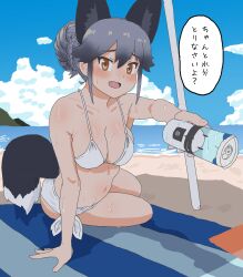 Rule 34 | 1girl, absurdres, animal ears, beach, beach towel, bikini, blue sky, blush, breasts, can, cloud, commentary request, day, extra ears, fang, fox ears, fox tail, grey hair, hair between eyes, hair bun, highres, holding, holding can, horizon, kemono friends, kemono friends 3, kumasyan1998, large breasts, long hair, looking at viewer, lucky beast (kemono friends), multicolored hair, ocean, outdoors, sand, shore, side-tie bikini bottom, silver fox (kemono friends), sky, sweat, swimsuit, tail, towel, translated, water, white bikini