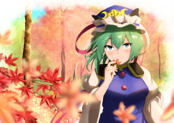 Rule 34 | 1girl, absurdres, blue eyes, blue hat, blue vest, blurry, blurry background, blurry foreground, breasts, closed mouth, commentary, epaulettes, forest, frilled hat, frills, hat, highres, holding, holding leaf, juliet sleeves, leaf, long sleeves, looking at viewer, maple leaf, medium breasts, nature, outdoors, puffy sleeves, raian macaroni, shiki eiki, smile, solo, touhou, upper body, vest