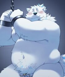 Rule 34 | 1boy, animal ears, bara, belly, blush, chastity cage, commentary, cuffed, dog boy, dog ears, dog tail, dogoronumber3, english commentary, fat, fat man, furry, furry male, live a hero, looking at viewer, male focus, nude, pectorals, ponytail, tail, tearing up, wavy mouth, yohack
