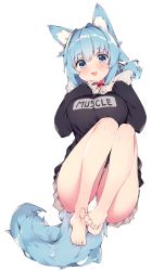 Rule 34 | 1girl, absurdres, animal ear fluff, animal ears, bare legs, blue eyes, blue hair, blush, clothes writing, collar, commentary request, english text, fang, feet, fox ears, fox girl, fox tail, hair intakes, haruyuki (yukichasoba), highres, hood, hoodie, long sleeves, looking at viewer, original, panties, red collar, skin fang, skirt, solo, tail, underwear, white background, white panties