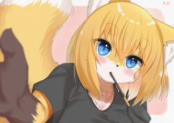 Rule 34 | 1girl, animal ear fluff, animal ears, animal nose, black shirt, blonde hair, blue eyes, blurry, blurry foreground, blush, body fur, close-up, commentary request, dated, food, food in mouth, foreshortening, fox ears, fox girl, furry, furry female, hair between eyes, highres, horokusa (korai), looking at viewer, medium hair, original, perspective, pink background, pocky, pocky in mouth, reaching, reaching towards viewer, shirt, short sleeves, solo, t-shirt, tail, thick eyebrows, two-tone background, upper body, white background, white fur, yellow fur, yellow tail