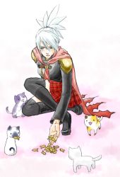 Rule 34 | blue eyes, cape, cat, final fantasy, final fantasy type-0, food, ponytail, sice (fft-0), silver hair, skirt, thighhighs