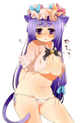 Rule 34 | 1girl, animal ears, arms behind back, bad id, bad pixiv id, breasts, cat ears, cat girl, cat tail, crescent, crescent moon, female focus, groin, kamiyama aya, kemonomimi mode, large breasts, long hair, moon, navel, open clothes, open shirt, patchouli knowledge, plump, purple eyes, purple hair, shirt, solo, tail, touhou, uncensored, underboob, very long hair