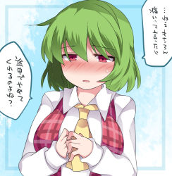 Rule 34 | 1girl, ascot, blush, breasts, commentary request, dress shirt, fidgeting, green hair, hammer (sunset beach), kazami yuuka, large breasts, looking at viewer, nervous, open mouth, plaid, plaid vest, red eyes, shirt, short hair, solo, sweat, touhou, translation request, upper body, vest
