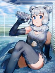 Rule 34 | 1girl, alaskan sea otter (kemono friends), animal ears, bare shoulders, blue eyes, blush, bottle, elbow gloves, frilled one-piece swimsuit, frilled thighhighs, frills, fur trim, gloves, grey gloves, grey hair, grey one-piece swimsuit, grey thighhighs, jewelry, kemono friends, kemono friends 3, looking at viewer, multicolored clothes, multicolored hair, multicolored swimsuit, necklace, one-piece swimsuit, otter ears, otter girl, otter tail, poolside, saba ru, shell, shell necklace, short hair, sidelocks, sitting, solo, swimsuit, tail, thighhighs, water bottle, white fur, white hair, white one-piece swimsuit