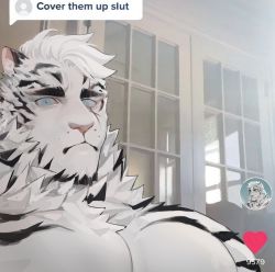 Rule 34 | 1boy, absurdres, animal ears, arknights, bara, cover them up slut (meme), dryskeleton (drawing jimmy), fluffy, furry, furry male, highres, large pectorals, looking at viewer, male focus, meme, mountain (arknights), muscular, muscular male, nude, pectoral focus, pectorals, scar, scar across eye, scar on face, short hair, solo, tiger boy, tiger ears, upper body, white fur