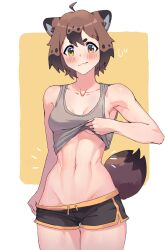 Rule 34 | 1girl, ahoge, animal ears, bare shoulders, black shorts, blush, breasts, brown eyes, brown hair, clothes lift, collarbone, cowboy shot, crop top, fang, grey shirt, highres, lifted by self, looking at viewer, medium breasts, navel, no bra, notice lines, original, raccoon ears, raccoon girl, raccoon tail, shirt, shirt lift, short hair, short shorts, shorts, sidelocks, solo, standing, stomach, sweatdrop, tail, thick eyebrows, toned, two-tone background, wavy mouth, wersman, white background, yellow background