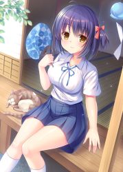 Rule 34 | 1girl, ahoge, animal, blue ribbon, blue skirt, blush, bow, breasts, brown eyes, cat, closed mouth, collared shirt, commentary request, dress shirt, feet out of frame, hair between eyes, hair bow, hair ribbon, hand fan, highres, holding, holding fan, large breasts, looking at viewer, neck ribbon, one side up, original, paper fan, pleated skirt, purple hair, red bow, ribbon, school uniform, shirt, short sleeves, sitting, skirt, smile, socks, solo, uchiwa, umitonakai, veranda, white shirt, white socks, wind chime
