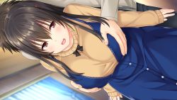 Rule 34 | 1girl, absurdres, black hair, blurry, blurry background, blush, grabbing another&#039;s breast, breasts, brown eyes, curtains, dress, embarrassed, game cg, grabbing, grabbing from behind, groping, highres, indoors, large breasts, long hair, long sleeves, looking at viewer, nekonyan, open mouth, original, sleeves past wrists, solo focus, standing, tonari ni kanojo no iru shiawase ~winter guest~, turtleneck, yukimura shiho