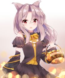 Rule 34 | 1girl, animal ears, basket, black dress, blush, cat ears, detached sleeves, dress, frilled dress, frills, fuuna, gradient background, grey hair, halloween, highres, kantai collection, long hair, looking at viewer, neck ribbon, open mouth, red eyes, ribbon, smile, solo, yellow ribbon, zuihou (kancolle)