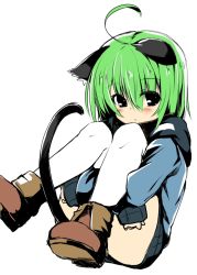Rule 34 | 1girl, animal ears, blush, cat ears, cat tail, dodome-iro mayonnaise, green hair, hugging own legs, looking at viewer, original, sharon (dodomayo), short hair, simple background, solo, tail, white background