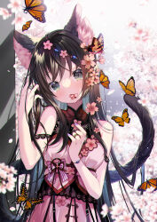 Rule 34 | 07touka25, 1girl, animal ears, black hair, bracelet, breasts, brown hair, bug, butterfly, cat ears, cat girl, cat tail, cherry blossoms, dress, flower, flower in mouth, gradient hair, grey eyes, hair flower, hair ornament, highres, insect, jewelry, long hair, looking at viewer, medium breasts, mouth hold, multicolored hair, notched ear, original, petals, pink dress, ring, sleeveless, sleeveless dress, straight hair, tail, very long hair