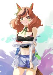 Rule 34 | 1girl, animal ears, arm under breasts, bare shoulders, black skirt, blue shorts, blush, breast hold, breasts, brown hair, closed mouth, cowboy shot, crop top, ear covers, highres, holding own arm, horse ears, horse girl, horse tail, jacket, kyabetsuman, long hair, looking at viewer, midriff, multicolored hair, navel, neck ribbon, necktie, nice nature (umamusume), off shoulder, open clothes, open jacket, paint on clothes, paint splatter, ribbon, see-through, see-through jacket, short shorts, shorts, skirt, small breasts, smile, solo, standing, streaked hair, tail, tank top, twintails, umamusume, v-shaped eyebrows, yellow eyes