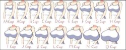 Rule 34 | breasts, medium breasts, simple background, size chart, size comparison, size difference, small breasts, white background