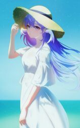 Rule 34 | 1girl, absurdres, alternate costume, blue sky, closed mouth, dress, euzh266, from side, hand on headwear, hand up, hat, head wings, highres, honkai: star rail, honkai (series), horizon, jewel under eye, light particles, long hair, looking at viewer, ocean, purple eyes, purple hair, robin (honkai: star rail), sky, solo, straw hat, upper body, white dress, wings