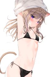 Rule 34 | 1girl, animal ear fluff, animal ears, arms up, bikini, black bikini, blush, breasts, brown hair, cat ears, cat girl, cat tail, closed mouth, collarbone, commentary request, groin, hair between eyes, hair ornament, hairclip, halterneck, has bad revision, has downscaled revision, highres, leo (mafuyu), long hair, looking at viewer, mafuyu (chibi21), md5 mismatch, multicolored hair, navel, original, purple eyes, purple hair, resolution mismatch, shirt, side-tie bikini bottom, simple background, small breasts, solo, source smaller, streaked hair, swimsuit, tail, undressing, white background, white shirt