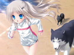 Rule 34 | 1girl, alternate hairstyle, blue eyes, dog, fang, game cg, jogging, kud wafter, little busters!, na-ga, noumi kudryavka, open mouth, running, solo, strelka