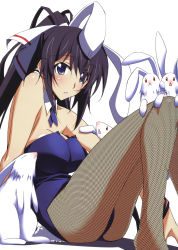Rule 34 | 10s, 1girl, absurdres, animal ears, ass, bare shoulders, blue eyes, blush, bow, bowtie, breasts, cleavage, fake animal ears, fishnets, hair ribbon, highres, infinite stratos, kurashima tomoyasu, large breasts, legs, leotard, long hair, looking at viewer, official art, playboy bunny, ponytail, purple hair, rabbit, rabbit ears, ribbon, shinonono houki, simple background, sitting, solo, thighs, white background